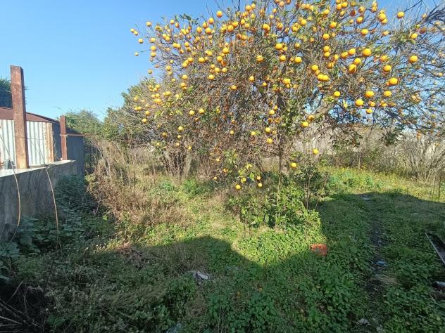 Casa di campagna in Via Corcioni - Foto 10