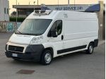 FIAT DUCATO 33 2.3 MJT PLM-TM FURGONE FRIGO