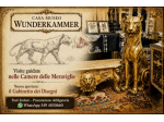 Visita al Gabinetto dei Disegni ed Acquarelli della Casa Museo Wunderkammer
