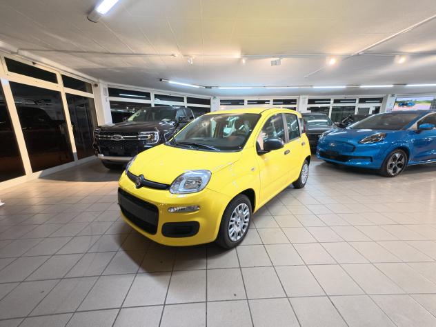 FIAT Panda 3ª serie 1.0 FireFly S&S Hybrid