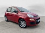 FIAT Pandina Pandina 1.0 firefly hybrid Icon s&s 70cv