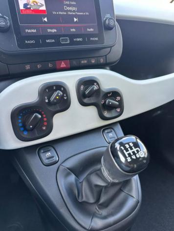 FIAT Panda 1.0 FireFly S&S Hybrid Pandina Cross rif. 23899573 - Foto 10