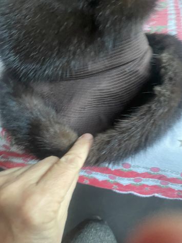 CAPPELLO DONNA IN ZIBELLINO - Foto 4