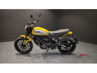 DUCATI DUCATI 800 ICON rif. 23205155