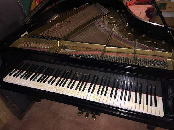 Organista (musicista per la chiesa) a Lecco