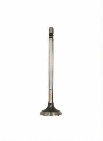 VALVOLA SCARICO LDW442 492 480