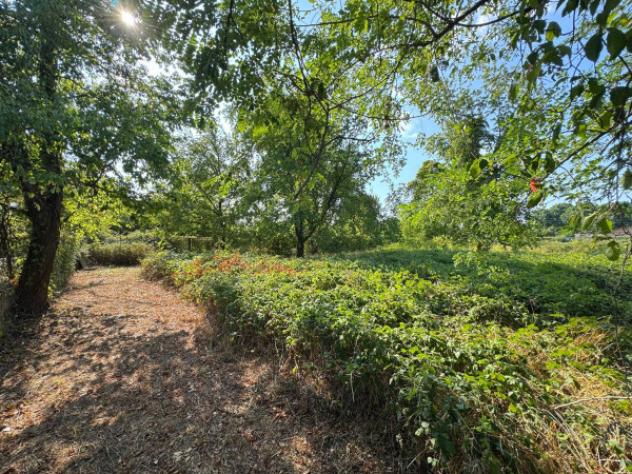 Terreno di 4200 m² in vendita a Desio - Foto 13