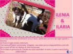 ARGO, ILENIA, ILARIA E LUCKY