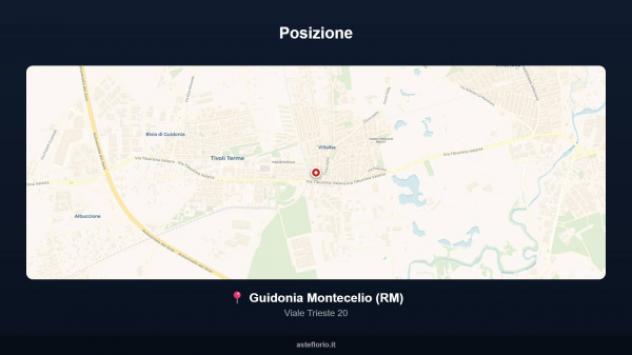 Immobile in asta di 100 m² in vendita a Guidonia Montecelio - Foto 2