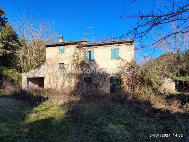 CASA COLONICA CON RICOVERO ATTREZZI, SILOS, TERRENO AGRICOLO E BOSCO - Foto 3