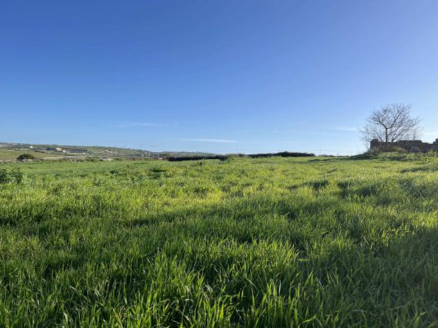 Agricolo in Contrada Renna - Foto 9