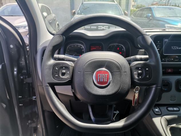 FIAT Panda 1.0 FireFly S&S Hybrid Red - Foto 8