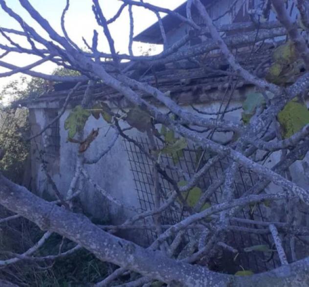Immobile in asta di 115 m² in vendita a Cerveteri - Foto 2