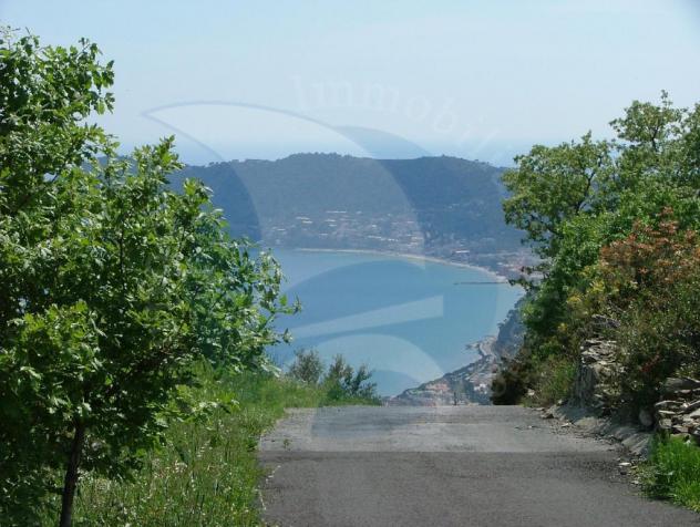 Alassio, vendesi terreno sulla collina di levante. - Foto 2
