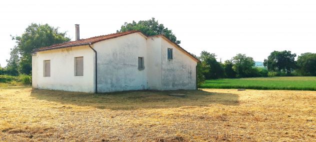 CASA DI CAMPAGNA immersa NEL VERDE con 6.200 mq. di TERRENO AGRICOLO - Foto 7