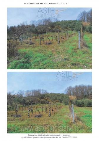 IMMOBILI-ALTRA CATEGORIA-Via Monte Taverna - Foto 2