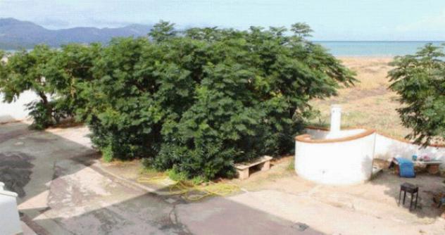 Immobile in asta di 77 m² in vendita a Alcamo - Foto 6