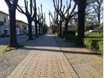 BORGO S LORENZO FONDO MQ 80 OLTRE GIARDINO MQ 100