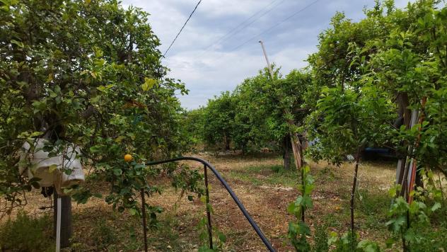 Terreno in vendita a Noto, San Lorenzo - Foto 5
