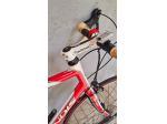 Bicicletta GRANDIS