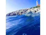 Capri Love