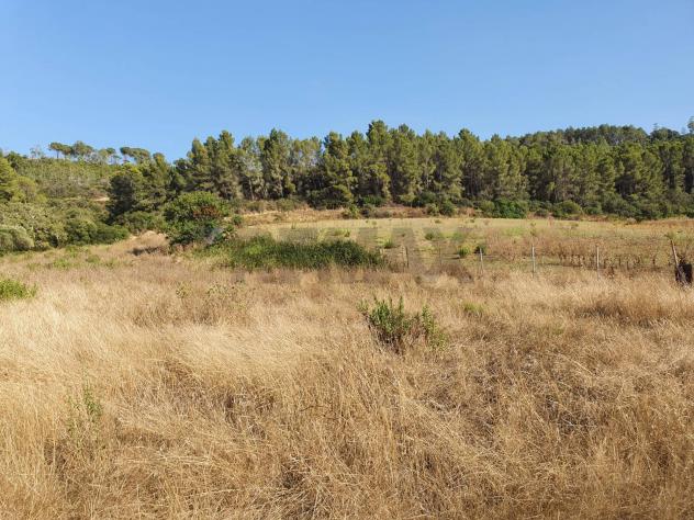 Terreno in vendita a Caltagirone, Santo Pietro - Foto 12