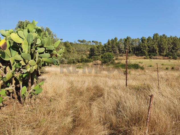 Terreno in vendita a Caltagirone, Santo Pietro