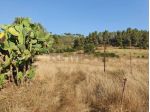 Terreno in vendita a Caltagirone, Santo Pietro