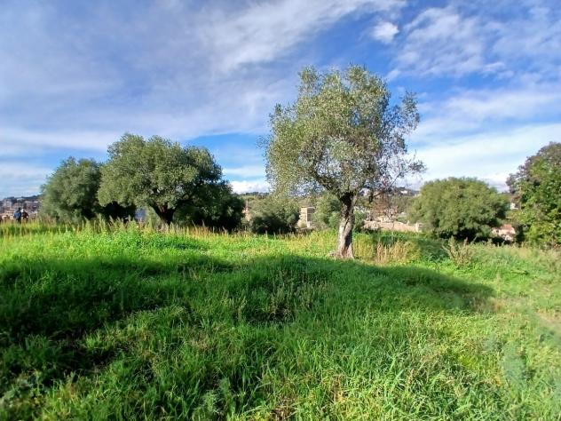 Terreno edificabile in vendita a Morlupo - Foto 14