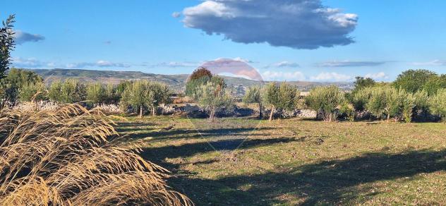 Terreno in vendita a Rosolini - Foto 3