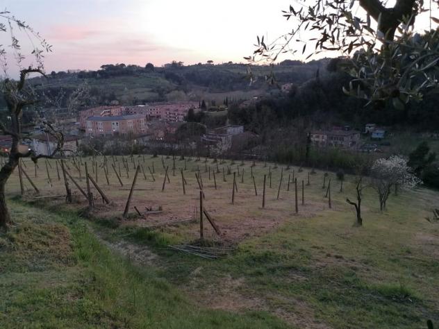 SIENA vendesi terreno AGRICOLO località COLONNA SAN DI 20000 MQ - Foto 4