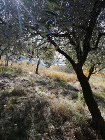 Rustico / Casale di 268 m² con più di 5 locali in vendita a Val Liona - Foto 8