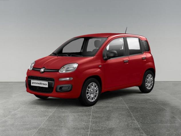 FIAT Pandina Pandina 1.0 firefly hybrid Pop s&s 65cv con CNJ-Badge (red) su montante laterale