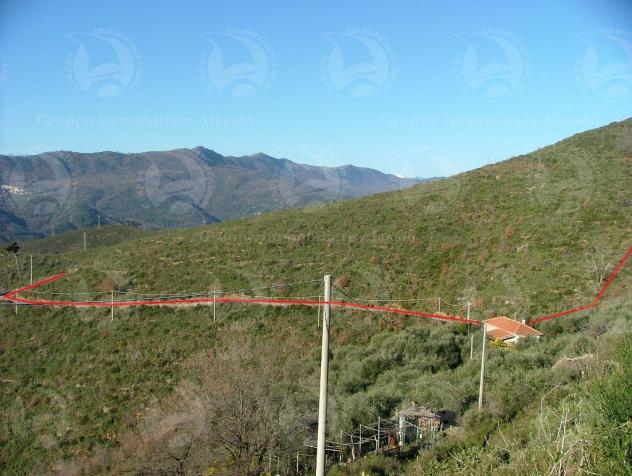 Alassio Andora, terreno incolto collinare, vista mare. - Foto 6