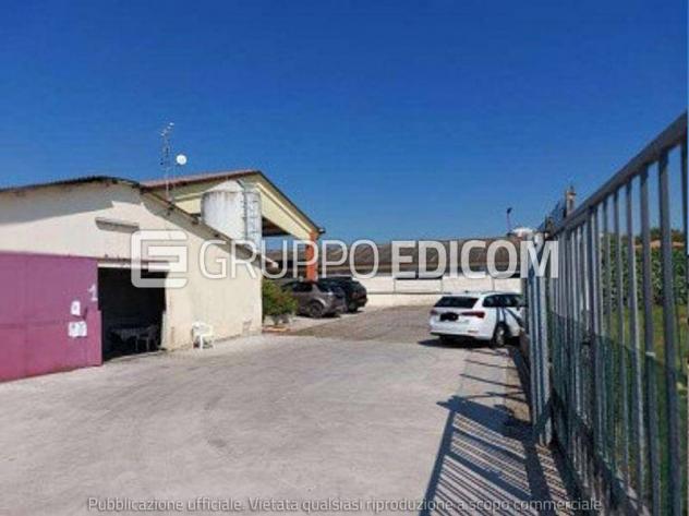Fabbricati per attività agricole di 10588 mq in vendita a Sona - Rif. 4547225 - Foto 2