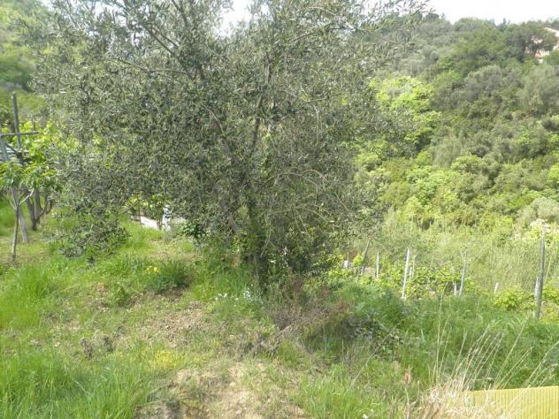 grande rustico vista mare con terreno - Foto 11