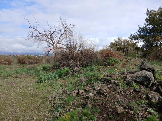Terreno in vendita a Belpasso - Foto 3
