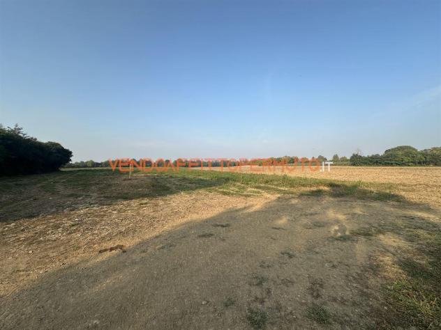 TERRENO AGRICOLO 4.400MQ - Foto 18