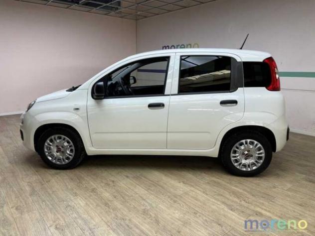 FIAT Panda Van 1.0 hybrid Easy 70 CV rif. 18798866 - Foto 3