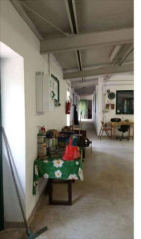 Immobile in asta di 296 m² con più di 5 locali in vendita a Collazzone - Foto 5