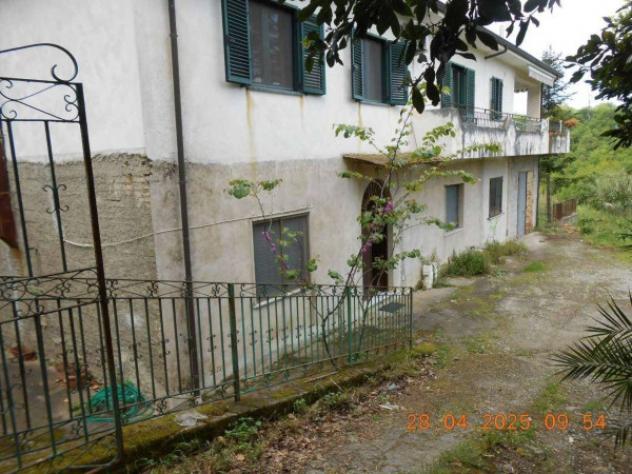 Immobile in asta di 183 m² con più di 5 locali in vendita a Francavilla Angitola - Foto 4