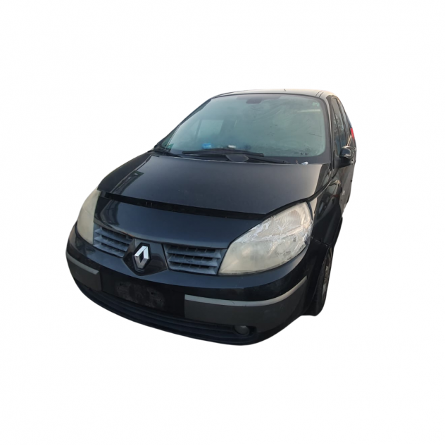 RICAMBI USATI AUTO RENAULT Scenic Serie diesel 1.5 (0309)