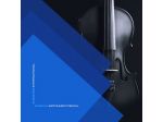 Noleggio e Vendita di Strumenti Musicali Turchia