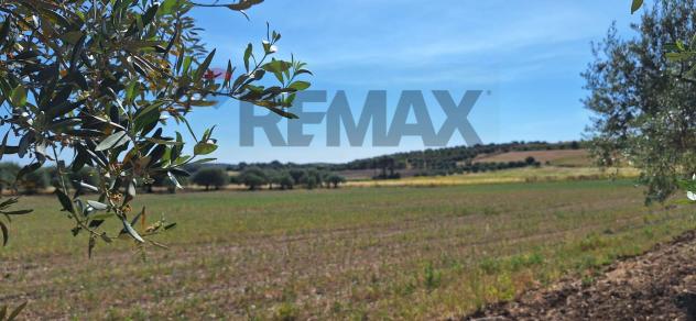 Terreno in vendita a Noto - Foto 12