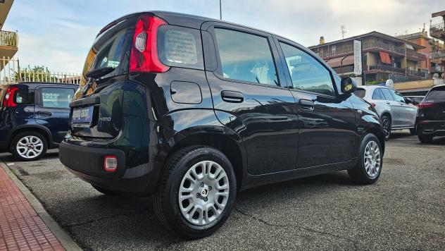 Fiat Panda 1.0 FireFly S&S Hybrid Pandina ICON KM0 REALE - Foto 4