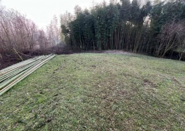 Immobile in asta di 146 m² con più di 5 locali in vendita a Bagnolo San Vito - Foto 3