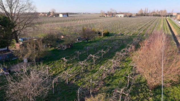 Immobile in asta di 583 m² con più di 5 locali e box auto in vendita a Soliera - Foto 10