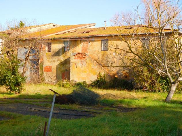 Colonica in vendita a Migliarino - Vecchiano 2850 mq Rif: 1295864 - Foto 4