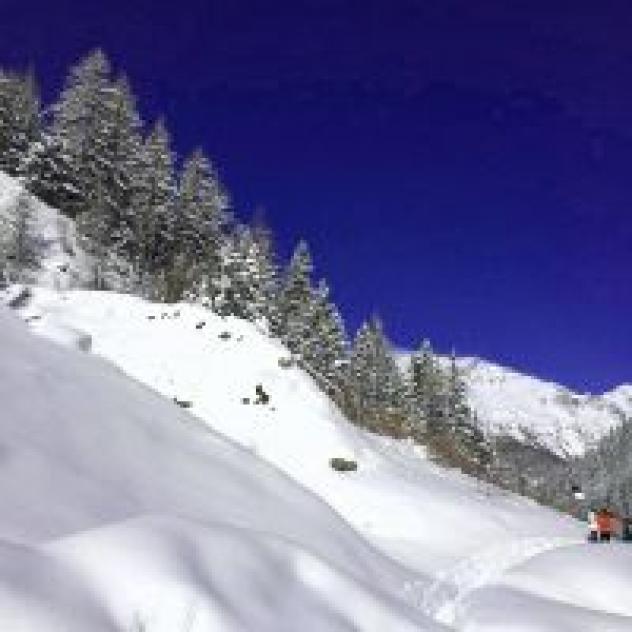 Agriturismo La Ferme du Grand Paradis - Foto 4