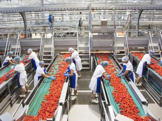 OPERAIO GENERICO DI PRODUZIONE ALIMENTARE